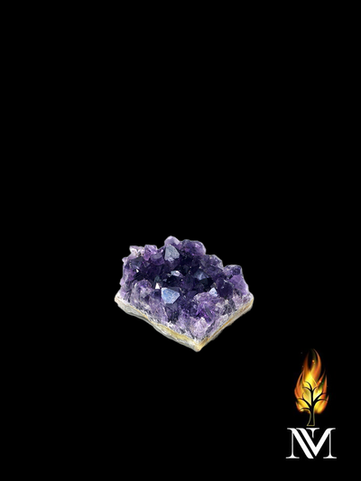 Exclusive AAA Amethyst Cluster (Small)