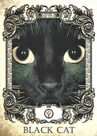 Occult Candle Black Cat - Natural Mystic