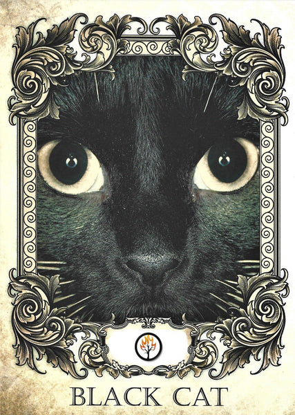 Occult Candle Black Cat - Natural Mystic