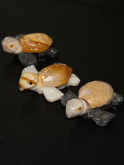 Sea Turtle stone