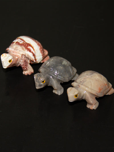 Tortoise stone