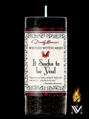 It Sucks To Be You! Candle
