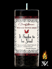 It Sucks To Be You! Candle