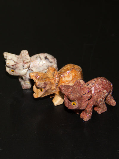 Triceratops stone